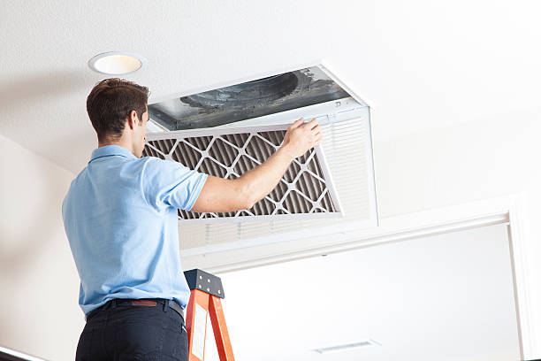 Best Air Quality Test  in Lafayette, CO